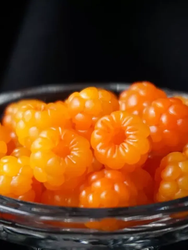 Rubus Chamaemorus(Cloudberry) Freeze-Dried,Powder Berry  Powder 150 g (5.29 oz)