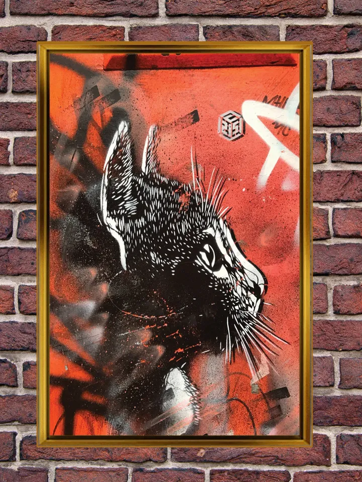 Cat Street Graffiti Print on Canvas , Floating Frame Option, Modern Wall Art, Extra Large Canvas Wall Art