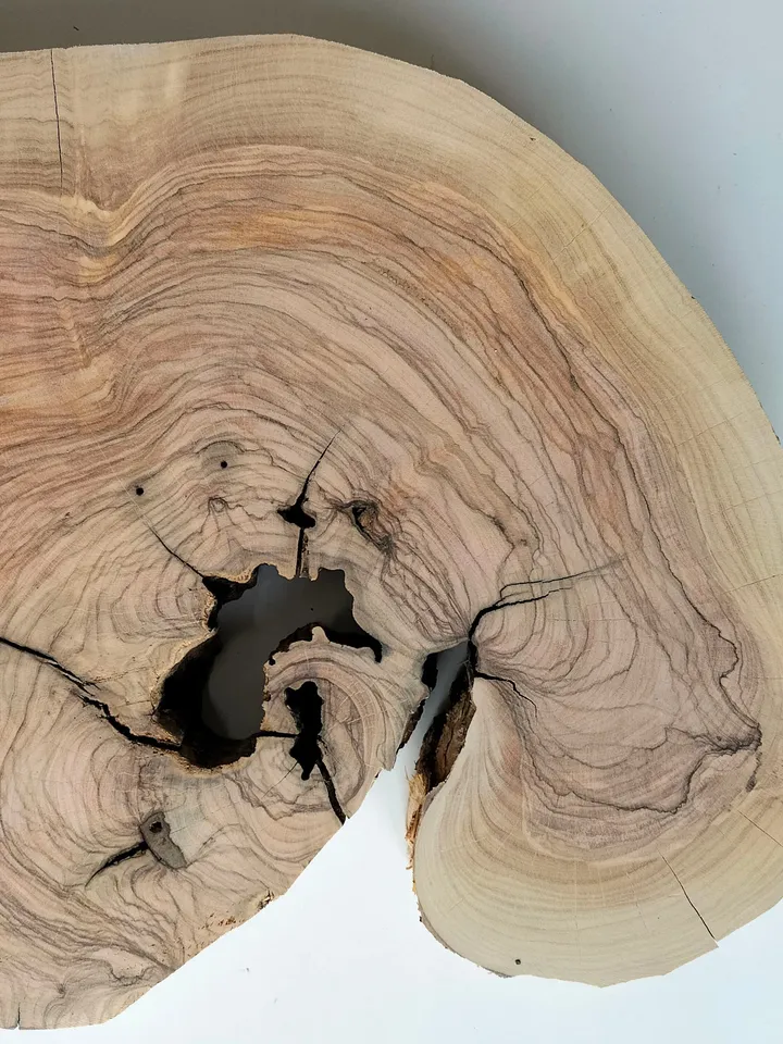 Olive Wood Slab, 17"x11"x1.6" Live Edge Wood Slab, Epoxy Resin Wood, Burl Wood, Tree Slices, READY TO SHIP
