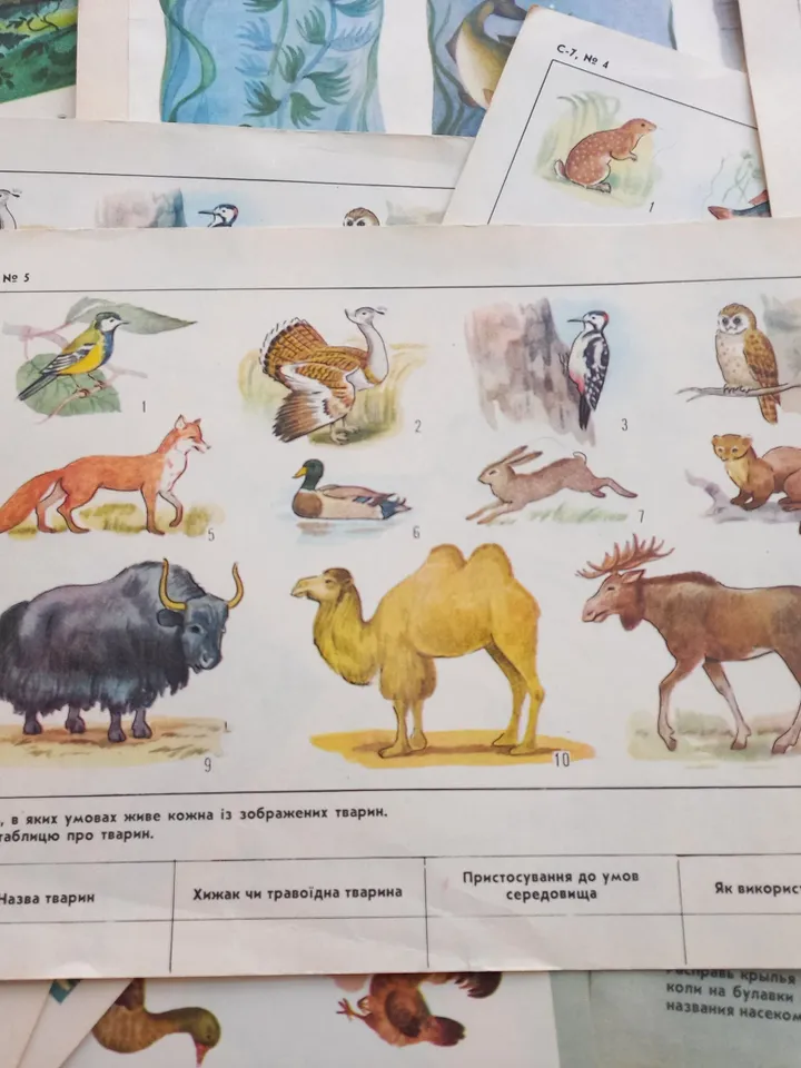 Set Vintage Animal Posters 17pcs Sketchbook for Logic Exercises USSR 1970