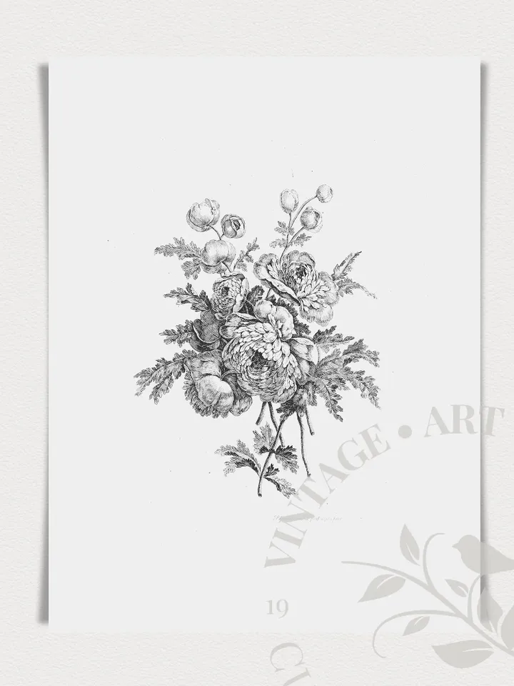 Botanical Print Set of 2 Sketches, Vintage Prints Neutral Floral Art, Large PRINTABLE Antique Farmhouse Decor, Downloadable | 190