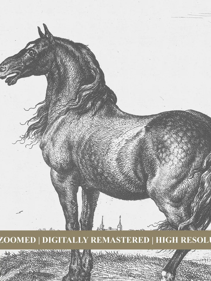 Horses Sketch Art Vintage Print, Antique Minimalist Drawing, Neutral Printable Wall Art, Digital Downloadable | 207