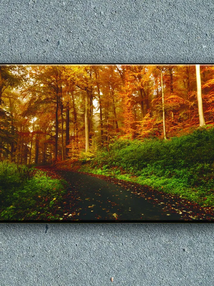 Forest Landscape Print on Canvas , Floating Frame Option, Modern Wall Art, Extra Large Canvas Wall Art