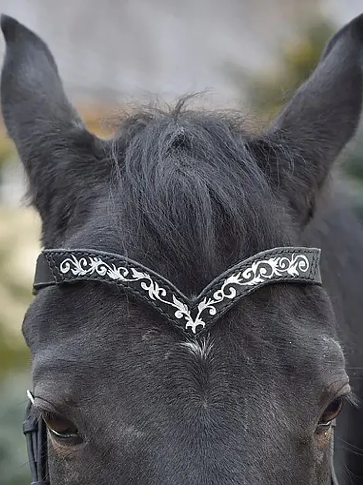 Green leather browband for horses draft pony. Handmade Brow band with hand-paint