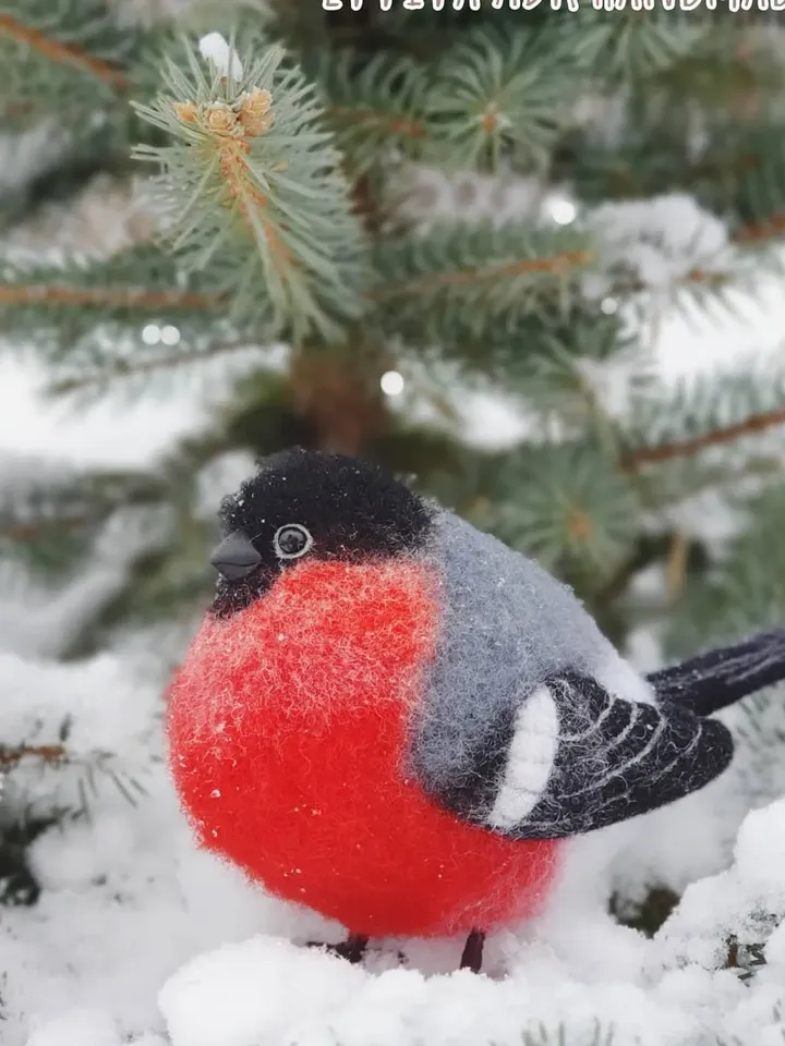 Bullfinch. Natural wool figurine needle felting bird. OOAK art felting birdie