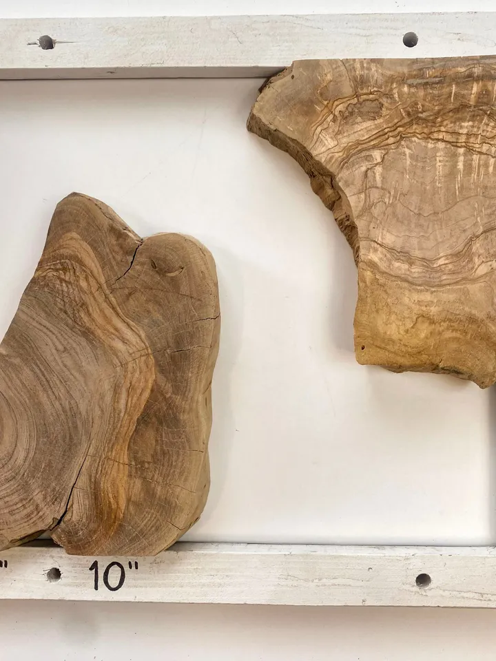 Olive Wood Cookies, 18"x10"x1.2" Live Edge Wood Slab, Epoxy Resin Wood, Raw Edge, Burl Wood, READY TO SHIP