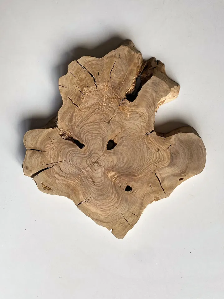 Live Edge Olive Wood Slab, 17"x16"x1.2" Natural Wood Slab, Epoxy Resin Wood, DIY Wood Art, Tree Slice