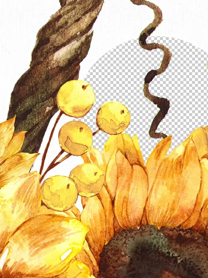 Sunflower Watercolor Clipart, Rustic hand-painted, Autumn orange leaves