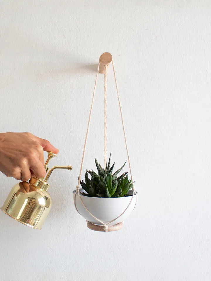 Two Mini Succulent Planters , Small Wall Planter, Wall Plant Hanger, Mini Planter, Succulent Wall Hanging, Cactus Hanger