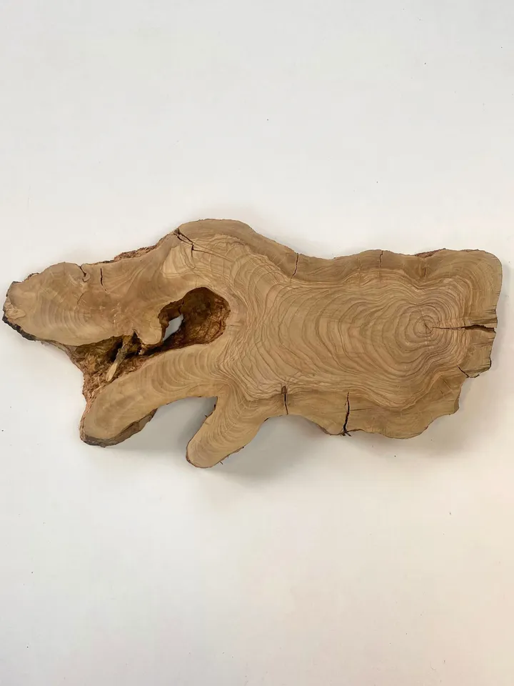 Live Edge Round Olive Wood Slab, 18"x9"x1.2" Epoxy Resin Wood, Burl Wood, Tree Slice