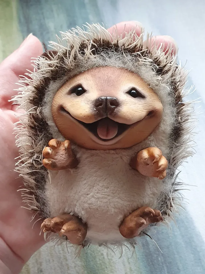 Hedgehog. Cute hedgehog on the back. A gift for a lover of hedgehogs. The most beautiful hedgehog