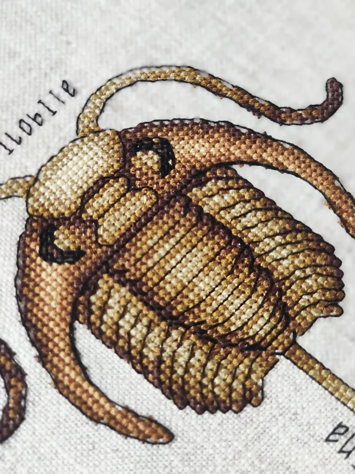 Completed Cross Stitch Trilobite fossil, Finished Cross Stitch picture, Paleontology Cross Stitch design, Modern xstitch