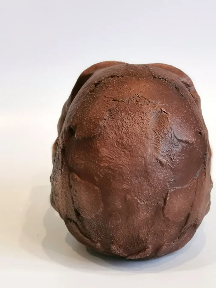 Homo Naledi Skull Replica Reconstruction, Full-size 3d printed Hominid Skull, Museum Quality Anthropology Model, Real Fossil Scan