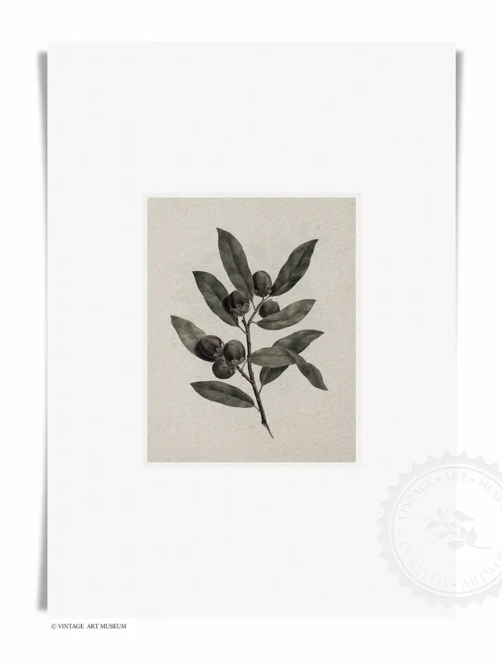 Vintage Olive Branches Set of 2 Prints, Antique Minimalist Botanical Art, Printable Wall Decor Digital Download | 138 S2