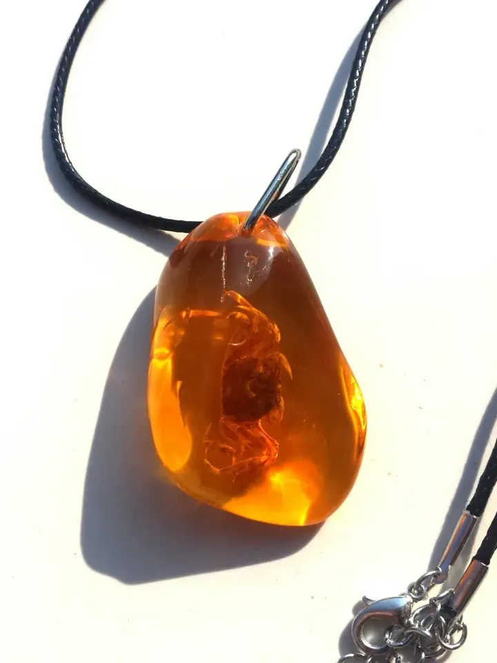 Real Crab in Amber Resin Cancer Pendant Necklace Amulet necklace Animal jewelry gift children birthday gift cancer