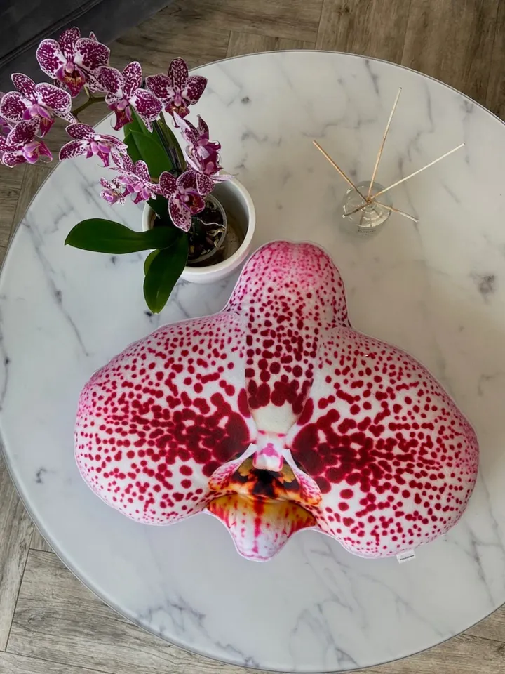 Orchid pillow / orchids / plant pillow / Phalaenopsis / Orchidaceae / orchidée / flower houseplant / plant lover/ flower decor