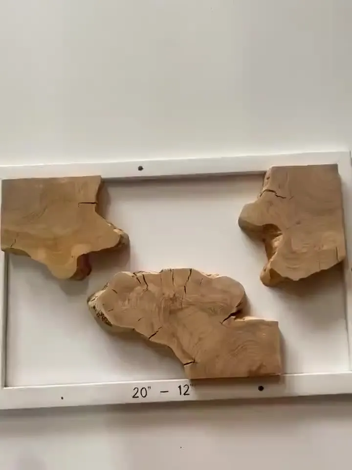 Olive Wood Cookies, Epoxy Resin Wood, Live Edge Wood Slab, Raw Edge Wood Slab, READY TO SHIP