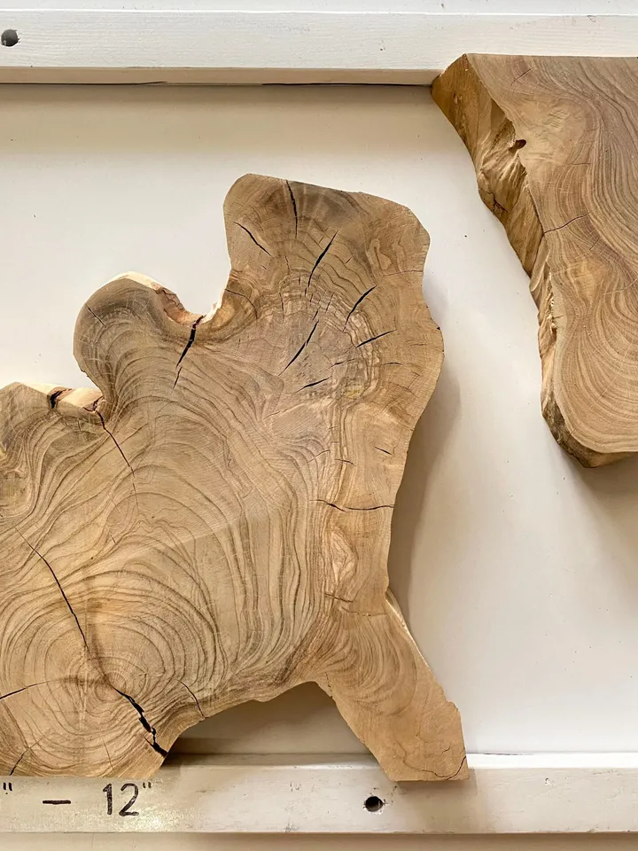 Olive Wood Cookies, Epoxy Resin Wood, Live Edge Wood Slab, Raw Edge Wood Slab, READY TO SHIP