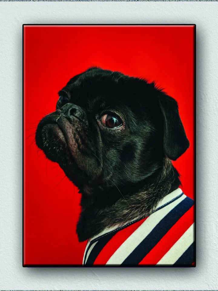Dog Print on Canvas , Floating Frame Option, Modern Wall Art, Extra Large Canvas Wall Art