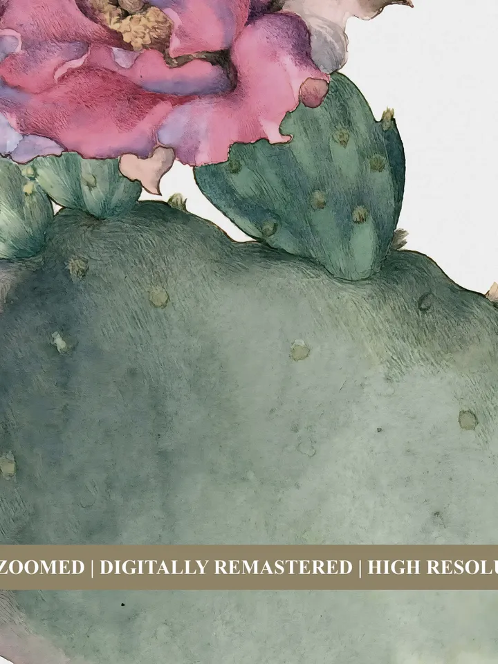 Opuntia Cactus Vintage Print, Botanical Printable Wall Art, Downloadable Decor | 89