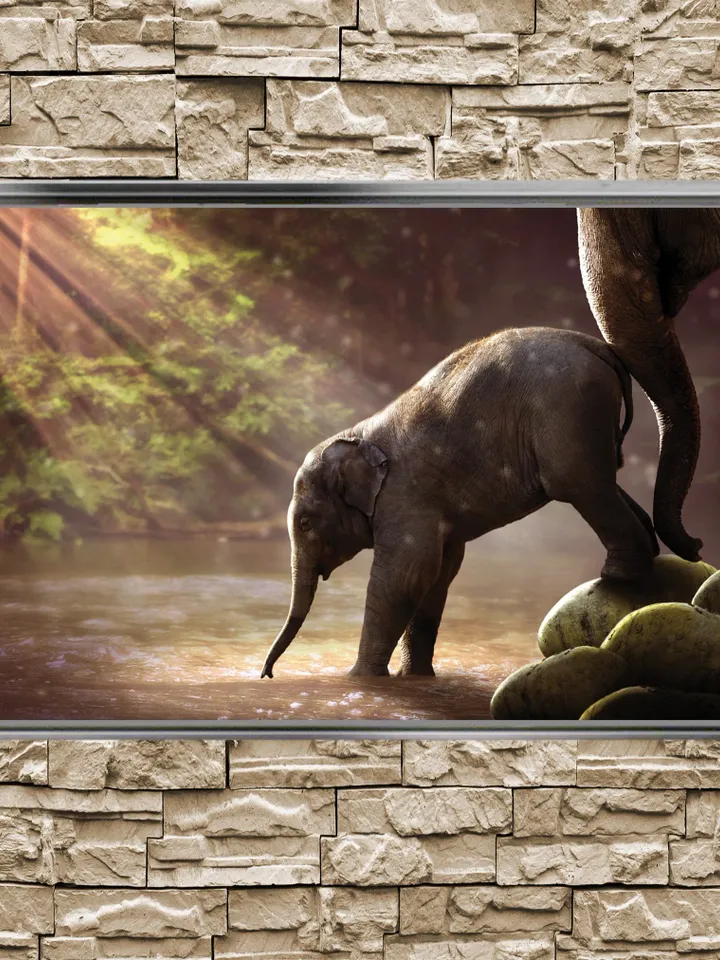 Baby Elephant Print on Canvas , Floating Frame Option, Modern Wall Art, Extra Large Canvas Wall Art