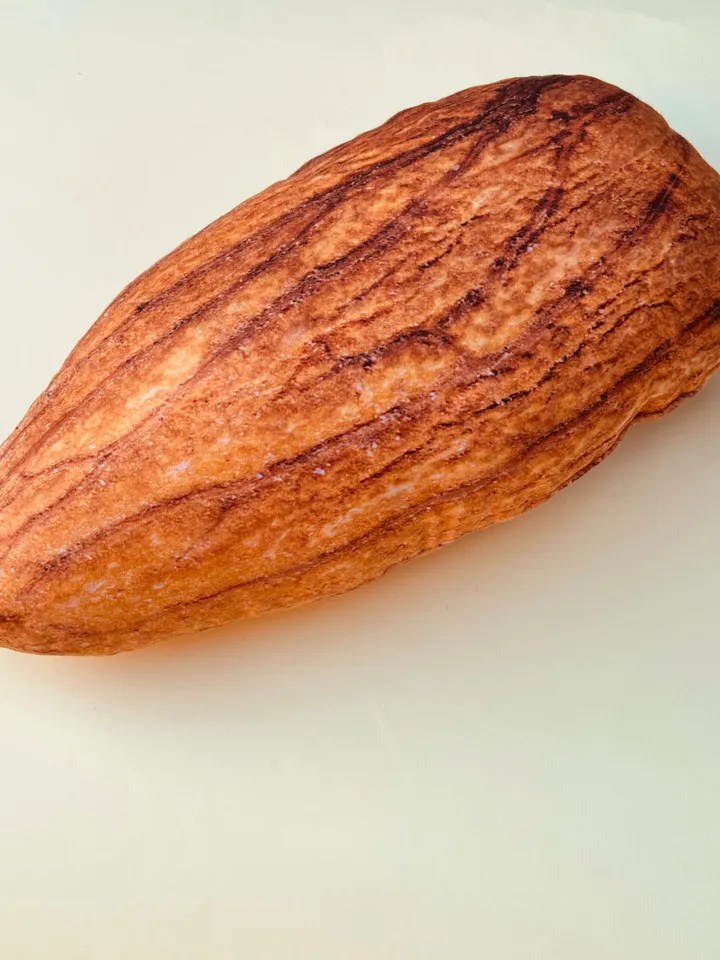 Almond / sweet Almond pillow / Almond shaped /  Almond cushion / vegan gift / sweet Almond / Shelled Almond / food pillow / funny pillow
