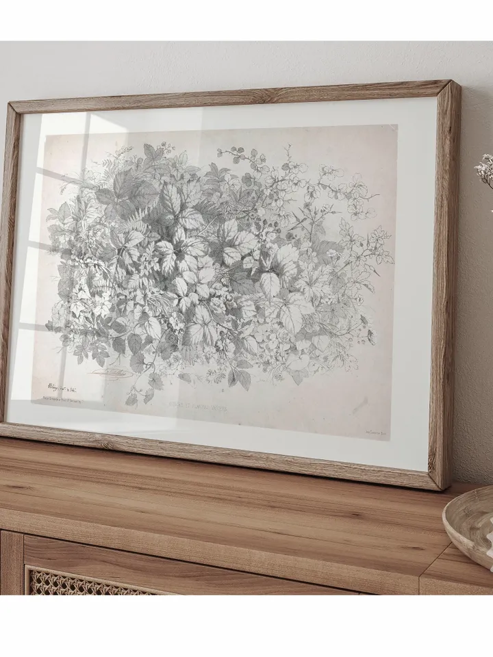 Antique Botanical Sketch, Neutral Kitchen Wall Art, Vintage Floral Printable Decor, Digital Downloadable | 256