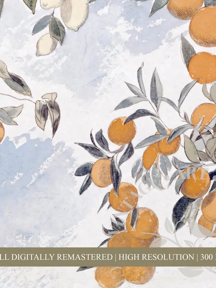 Lemon Tree Watercolor Vintage Wall Art Print, Large Lemon Painting, Printable Digital Downloadable Wall Decor | 197