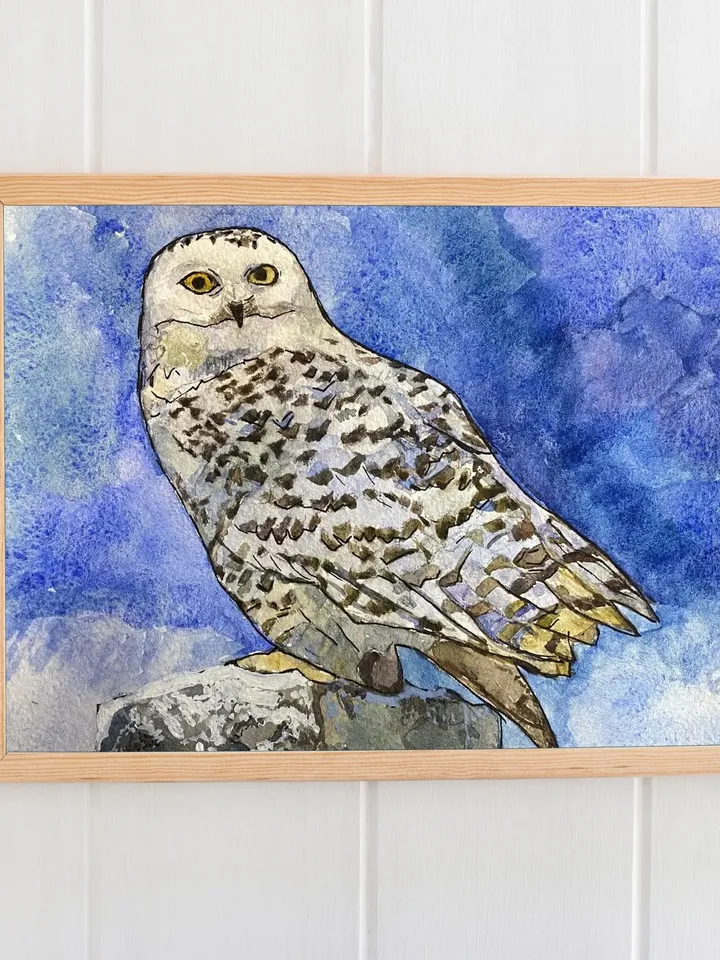 Original Painting Owl Art Watercolor bird art Hand Painted Animal Wall Decor