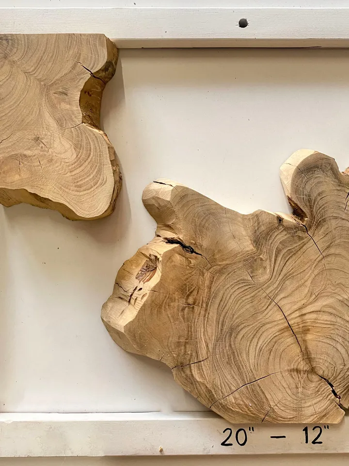 Olive Wood Cookies, Epoxy Resin Wood, Live Edge Wood Slab, Raw Edge Wood Slab, READY TO SHIP
