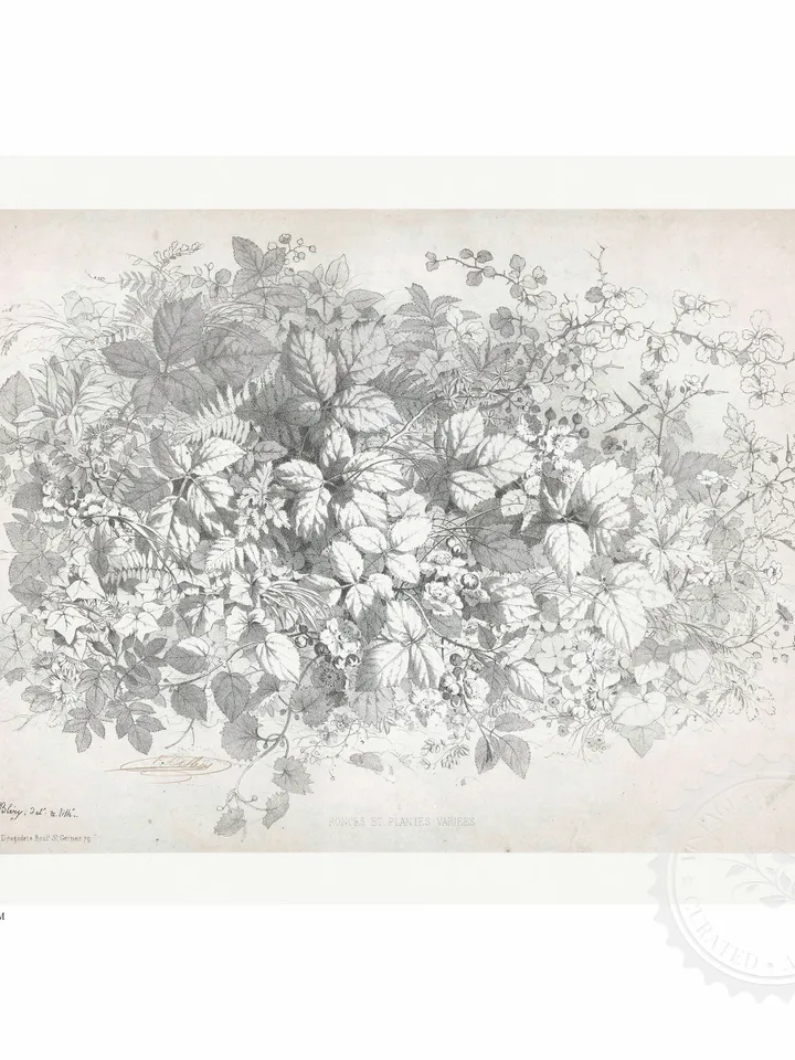 Antique Botanical Sketch, Neutral Kitchen Wall Art, Vintage Floral Printable Decor, Digital Downloadable | 256