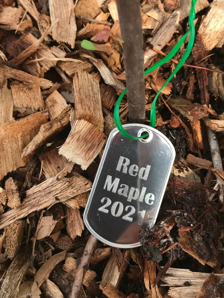 All Weather Stainless Steel Tree Tags Custom Etched,  Military Dog Tag