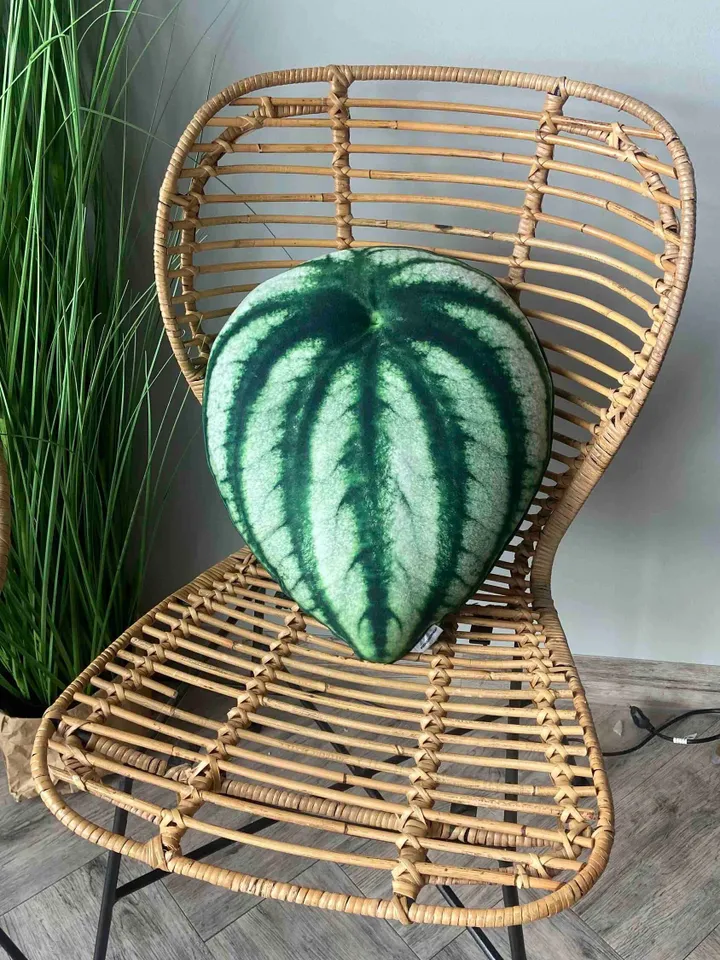 Peperomia watermelon pillow / peperomia argyreia pillow/ plant pillow / leaf pillow / plant gift / urban jungle / houseplants