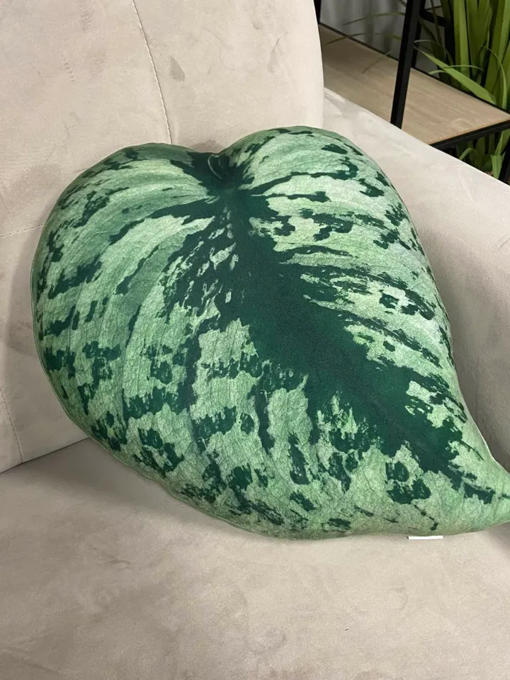 Scindapsus plant pillow / scindapsus cushion / scindapsus pictus / scindapsus exotica / plant pillow / plant lover gift / plant cushion