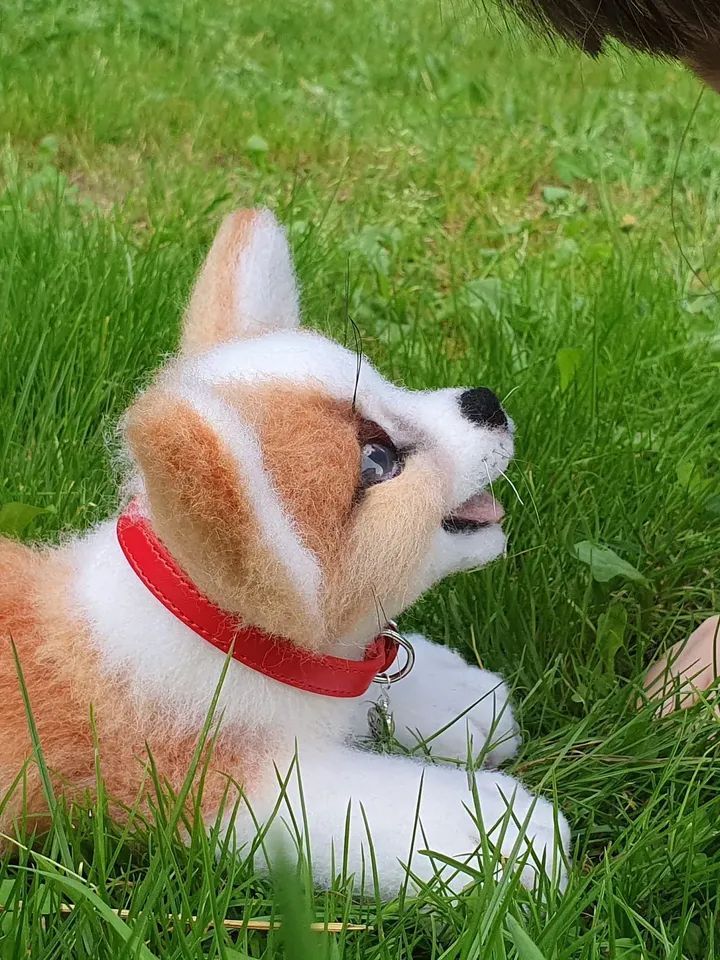 Corgi realistic puppy toy made of natural wool. Collectible toy pembroke corgi dog