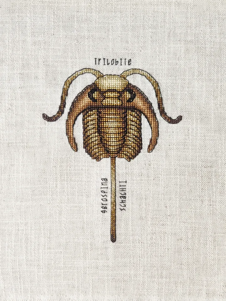 Completed Cross Stitch Trilobite fossil, Finished Cross Stitch picture, Paleontology Cross Stitch design, Modern xstitch