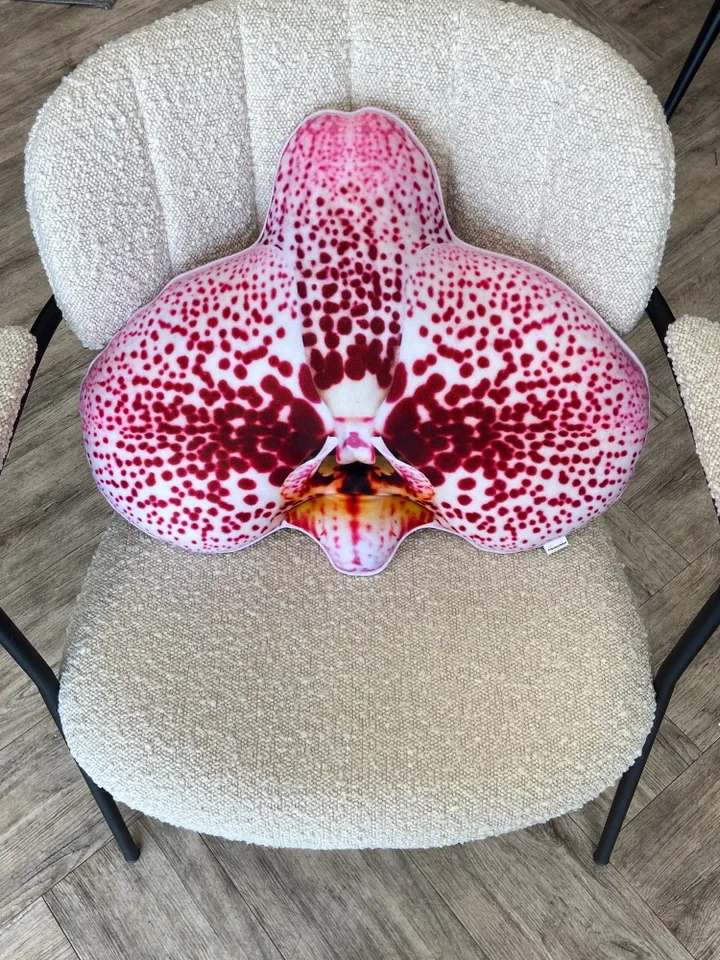 Orchid pillow / orchids / plant pillow / Phalaenopsis / Orchidaceae / orchidée / flower houseplant / plant lover/ flower decor