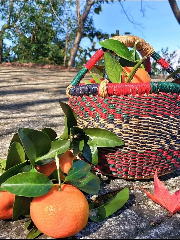 Harvest Basket, Straw Bag, Large Bolga Market Basket, Large Woven Basket, Thank you Gift Basket, Straw Tote Bag, Fruit Basket