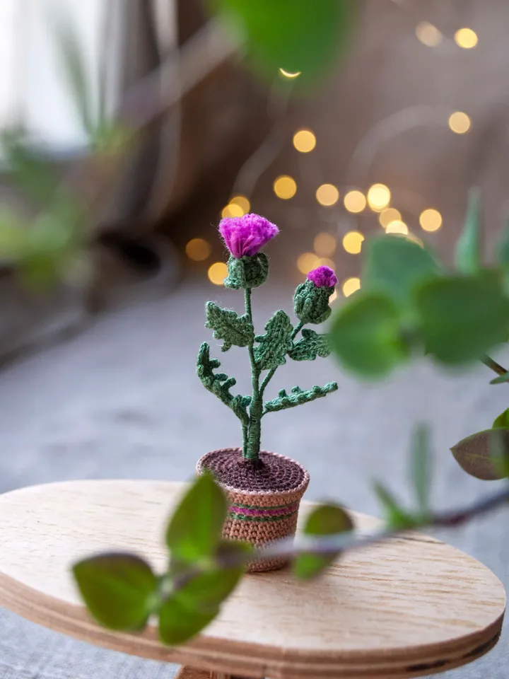 Crochet THISTLE in a pot, Scottish Thistle flowers, Fairy garden miniature, Flower present, Thank you gift, Meaning gift
