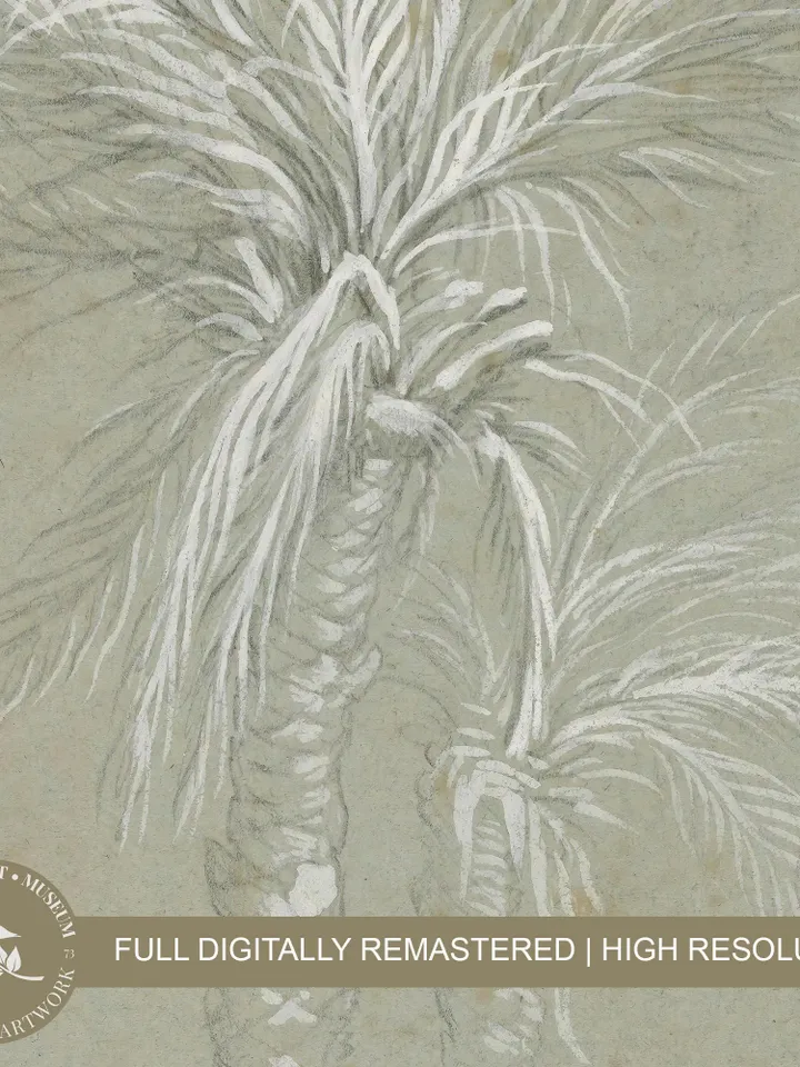 Vintage Tropical Palm Leaves Print, Tree Sketch Botanical Banana Leaf Drawing PRINTABLE, Rustic Wall Art Digital | 49