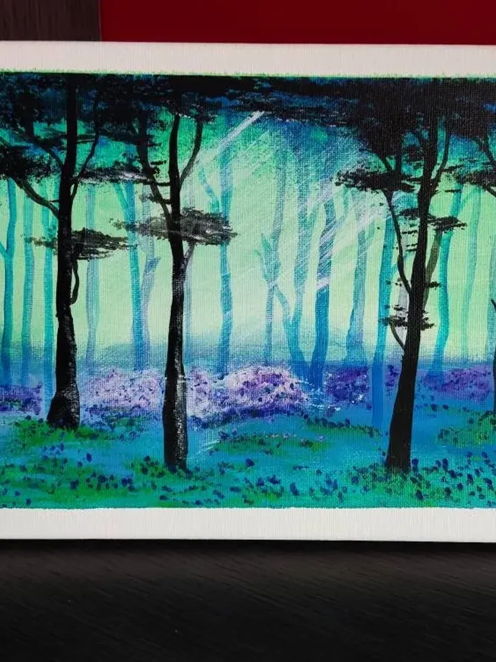 Acrylic - Somni Boscà