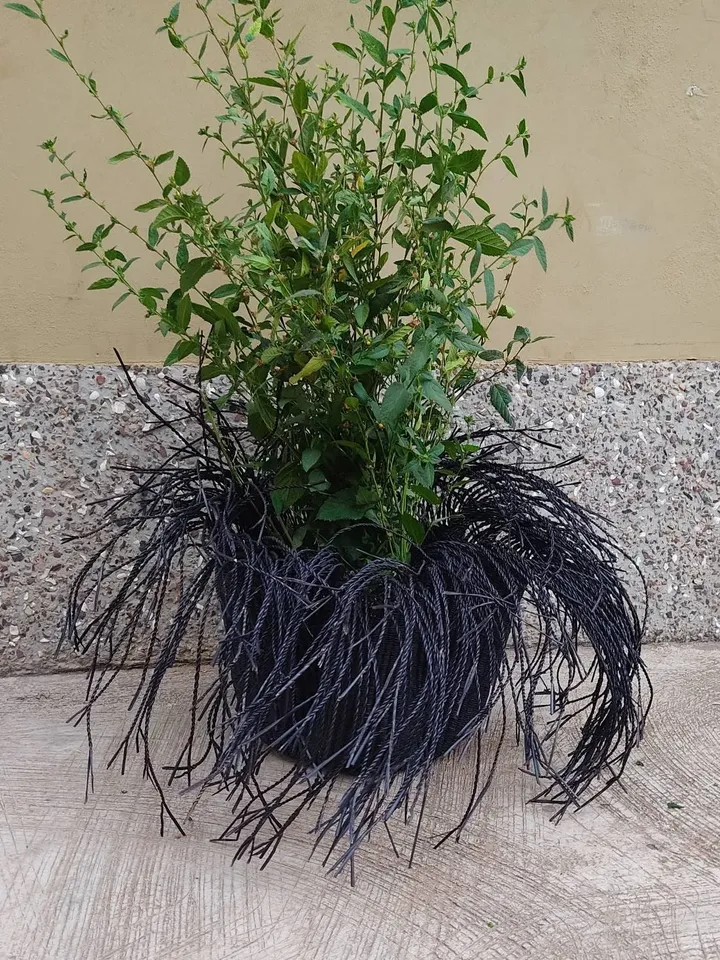 Houseplant Pot |Large Plant Pot |Woven Plant Pot | Modern plant pot |  Plant Lovers Gift | Ghana Basket