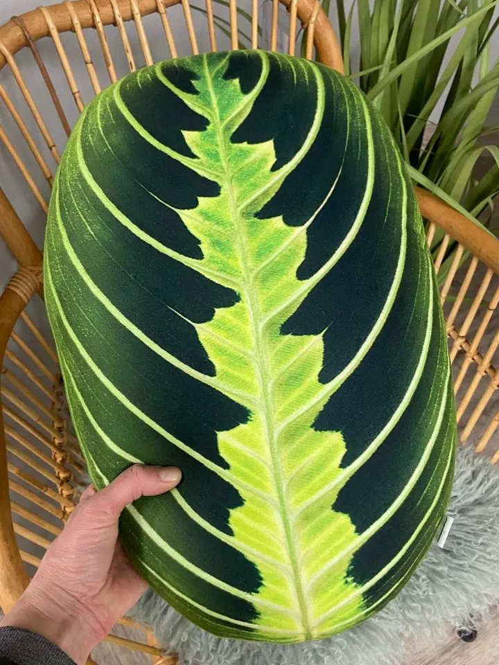 Maranta Lemon Lime pillow / maranta pillow / prayer plant / Maranta leuconeura / plant pillow / leaf pillow / maranta cushion