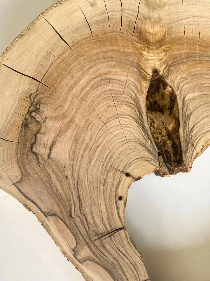 Olive Wood Slab, 11"x10"x1.2" Live Edge Wood Slab, Epoxy Resin Wood, Burl Wood, Tree Slices, READY TO SHIP
