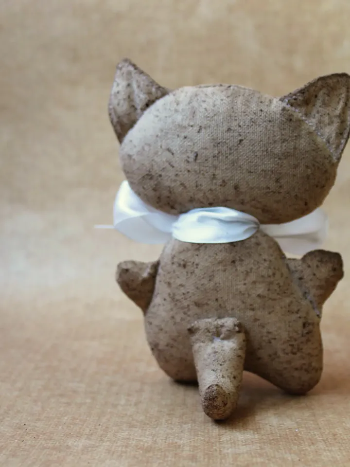 Star - coffee cat - a symbol of the new year in a gift box