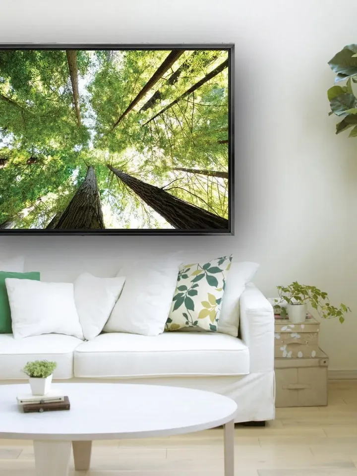 Forest Landscape Print on Canvas , Floating Frame Option, Modern Wall Art, Extra Large Canvas Wall Art
