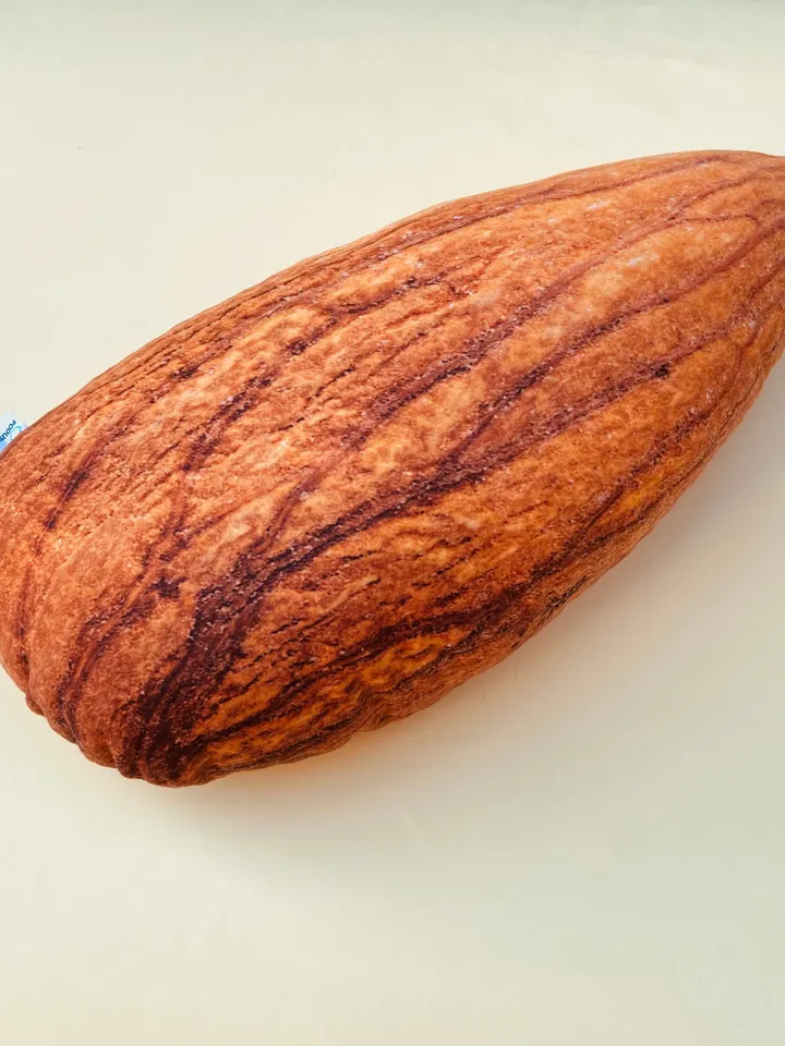 Almond / sweet Almond pillow / Almond shaped /  Almond cushion / vegan gift / sweet Almond / Shelled Almond / food pillow / funny pillow