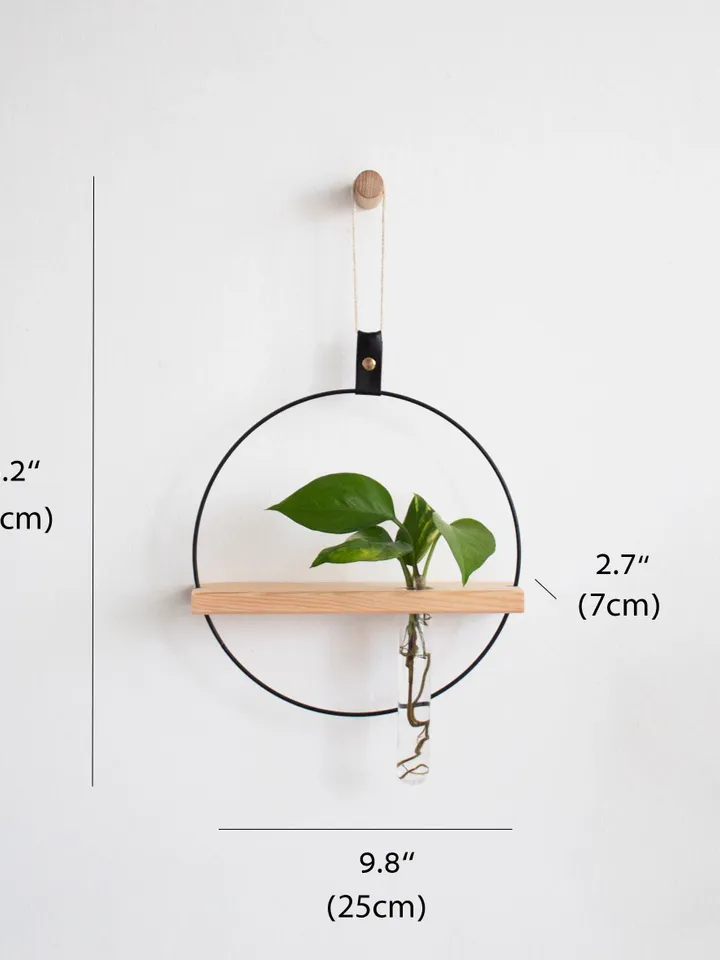 Wall Hook For Hanging Plants Propagation Station Wall Propagating Plant Holder Wall Plant Shelves plant holder