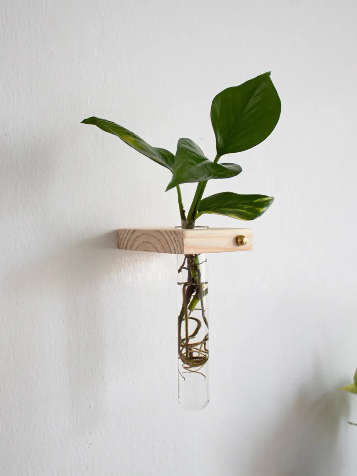 Plant Propagation Wall Hanging, Propagation Station Wall, Test Tube Planter, Wall Hanging Propagation, Wall Plant Hanger, Wall Plant Holder