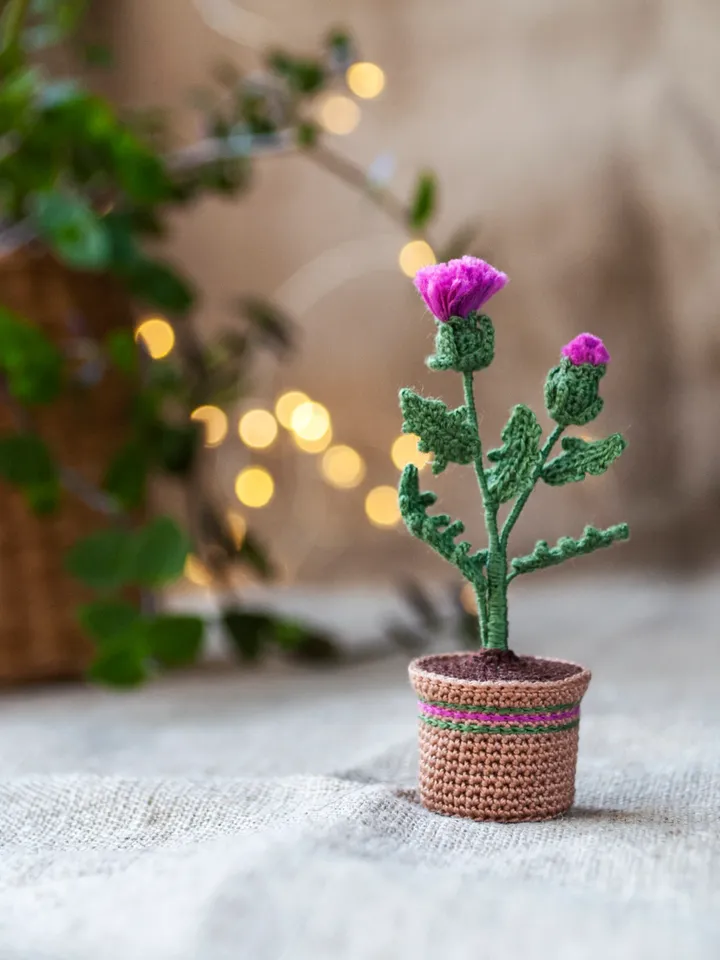Crochet THISTLE in a pot, Scottish Thistle flowers, Fairy garden miniature, Flower present, Thank you gift, Meaning gift